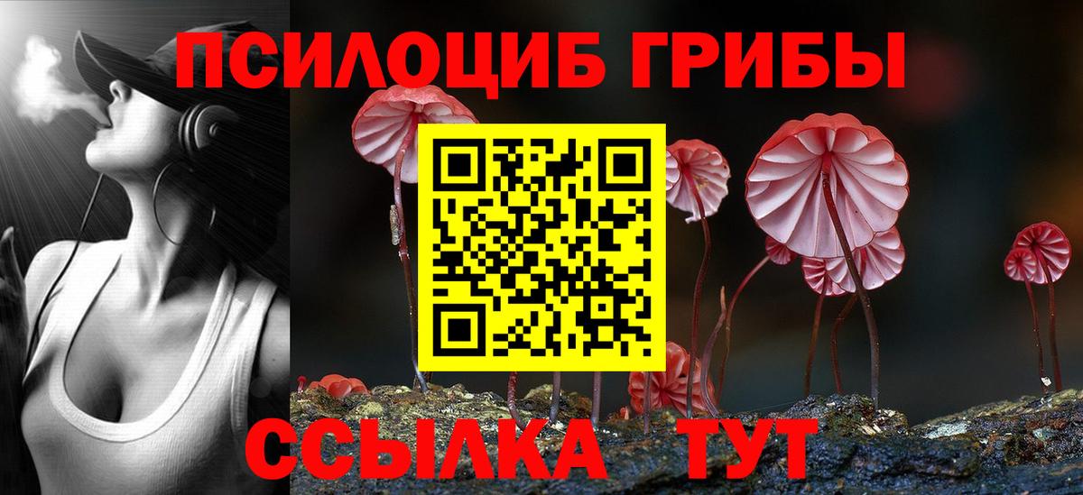 Галлюциногенные грибы Psilocybe  Вход с VPN  Нижнеудинск 
