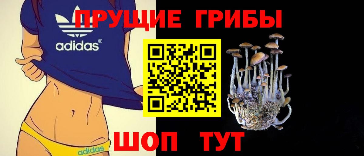 Псилоцибиновые грибы прущие грибы Нижнеудинск